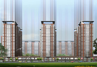Jinhai International