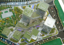 新天国际